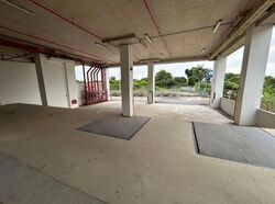 Ang Mo Kio Avenue 6 (D20), Factory #555316021